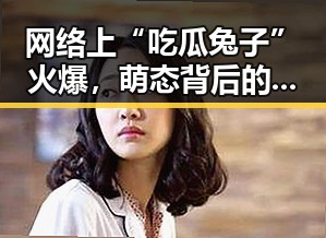 网络上“吃瓜兔子”火爆,萌态背后的娱乐圈新宠开始走红